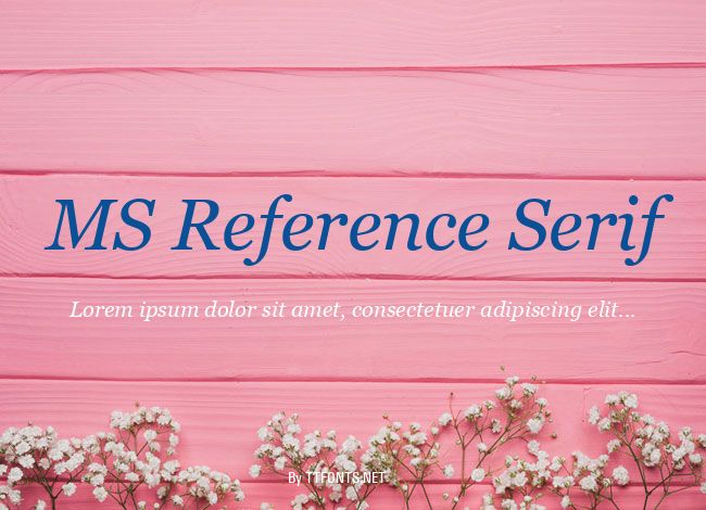 MS Reference Serif example