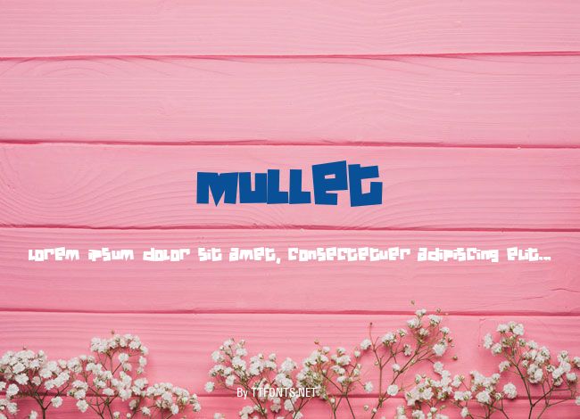 Mullet example
