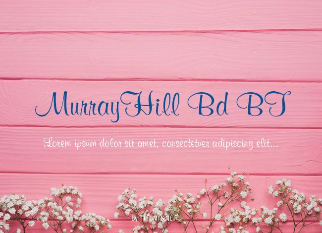 MurrayHill Bd BT example