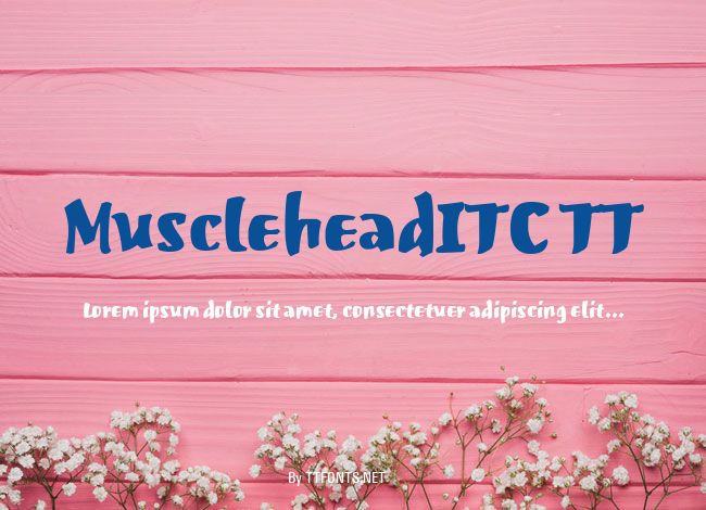 MuscleheadITC TT example
