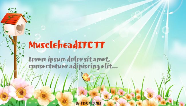MuscleheadITC TT example