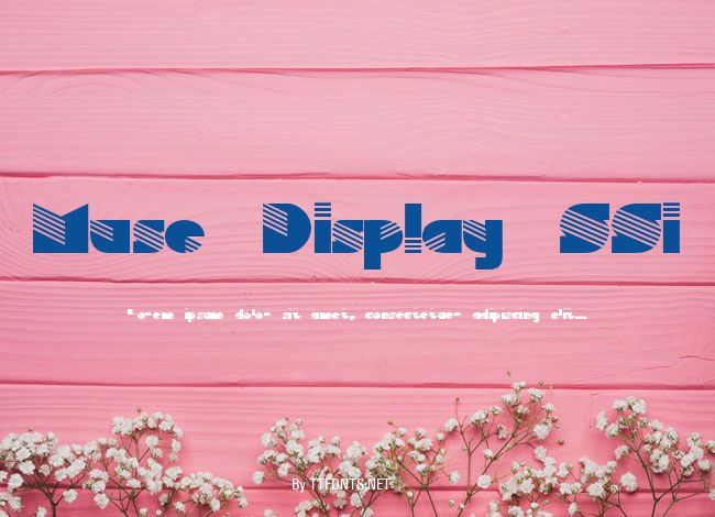 Muse Display SSi example
