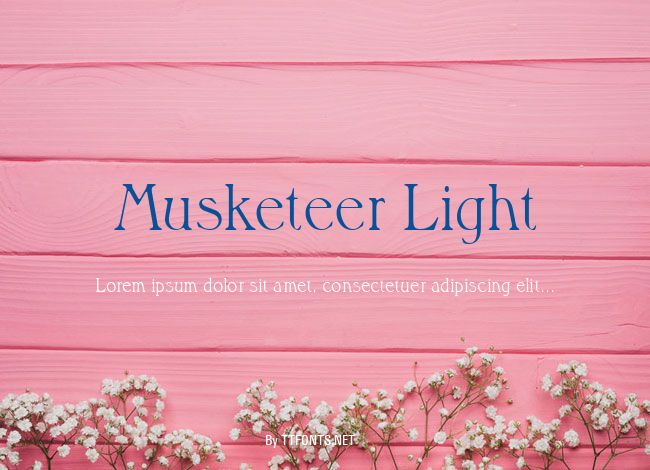 Musketeer Light example