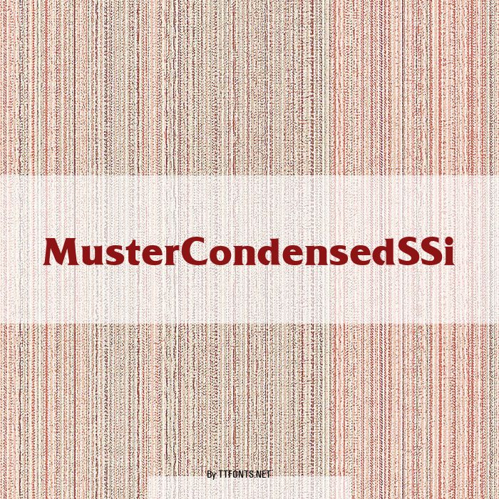 Muster Condensed SSi example