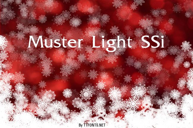 Muster Light SSi example