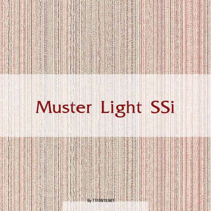 Muster Light SSi example