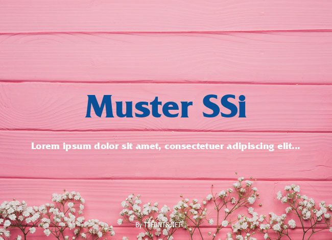Muster SSi example
