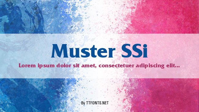 Muster SSi example