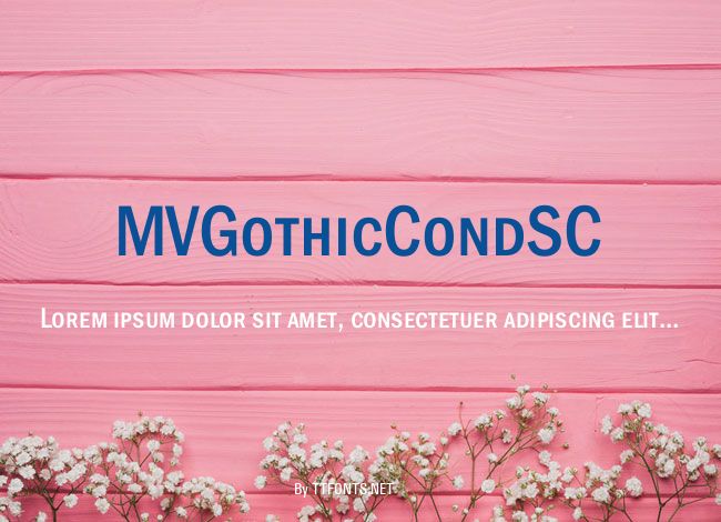 MVGothicCondSC example