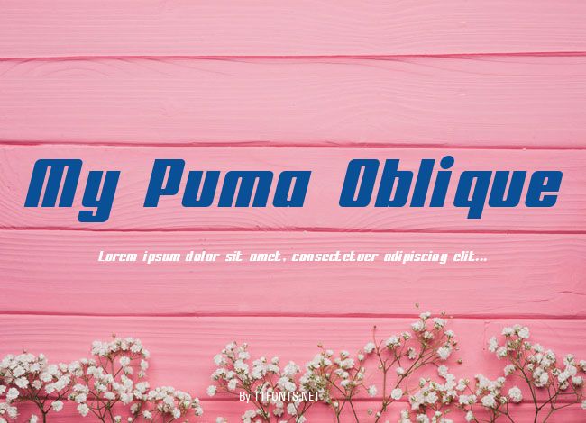 My Puma Oblique example