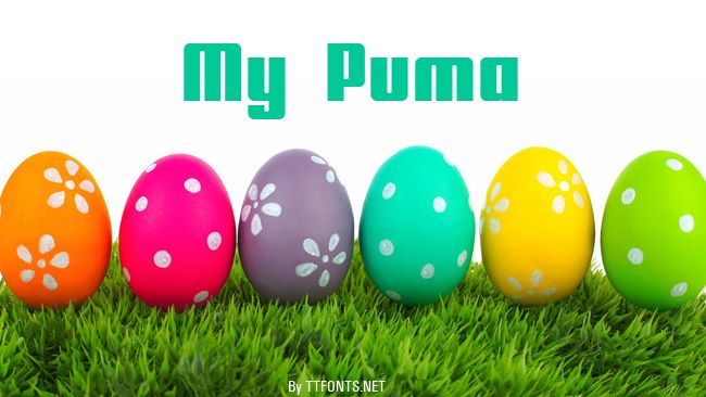 My Puma example