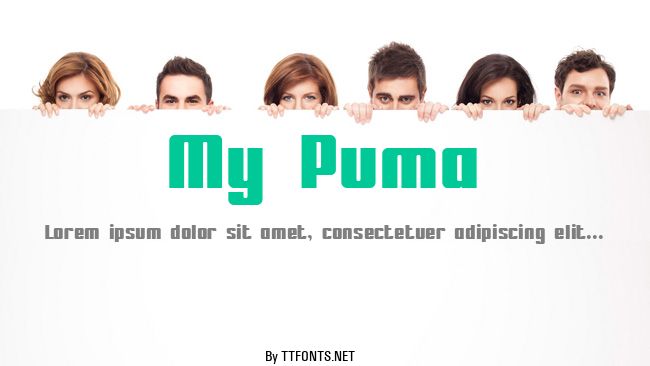 My Puma example
