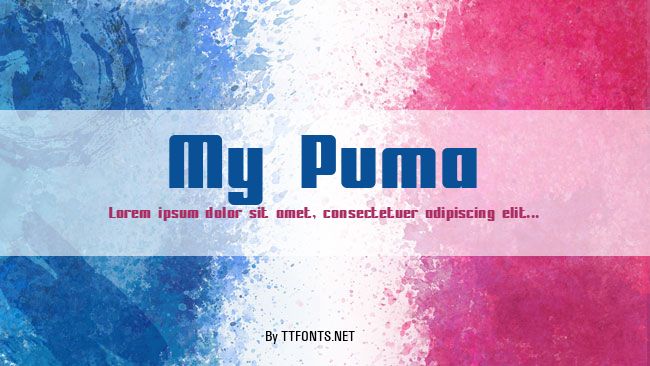 My Puma example