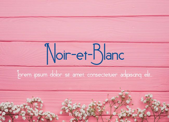 Noir-et-Blanc example