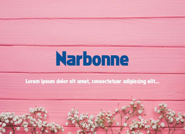 Narbonne example