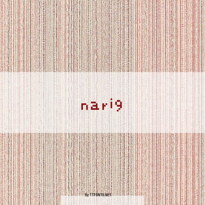 nari9 example