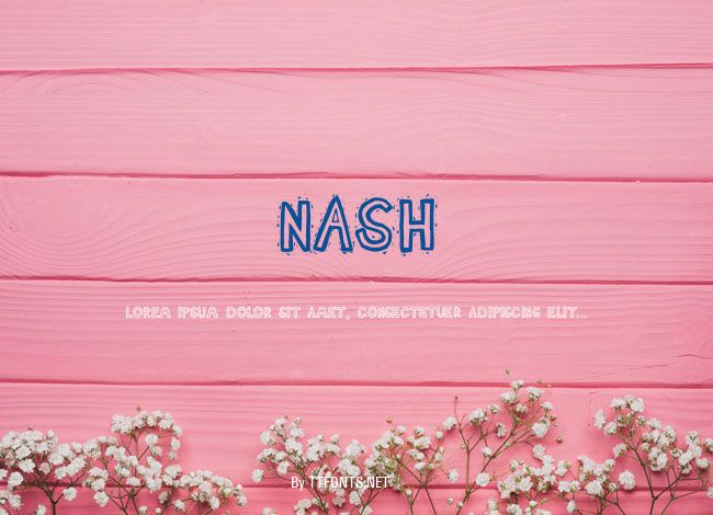 Nash example