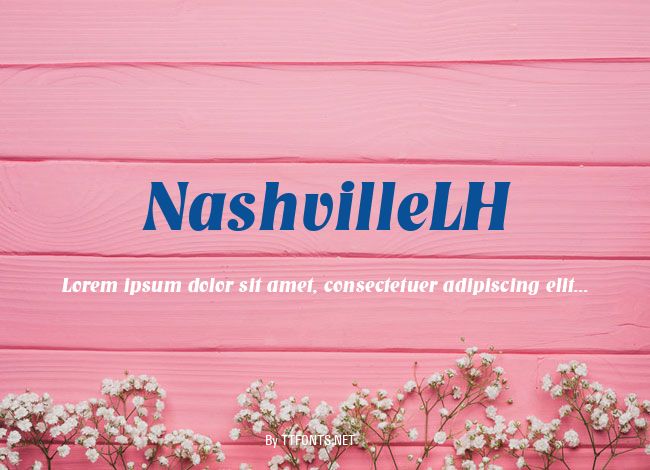 NashvilleLH example