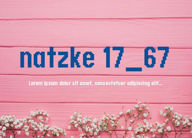 natzke 17_67 example