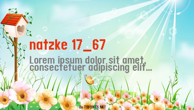 natzke 17_67 example