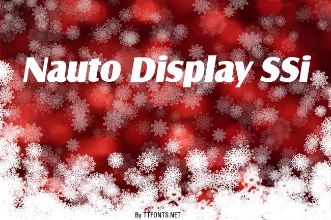 Nauto Display SSi example