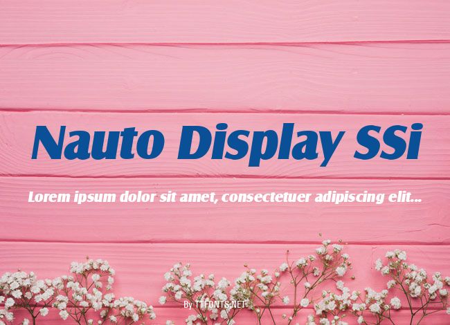 Nauto Display SSi example