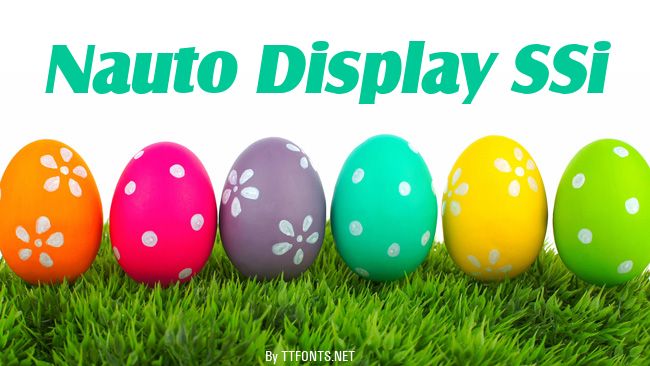 Nauto Display SSi example