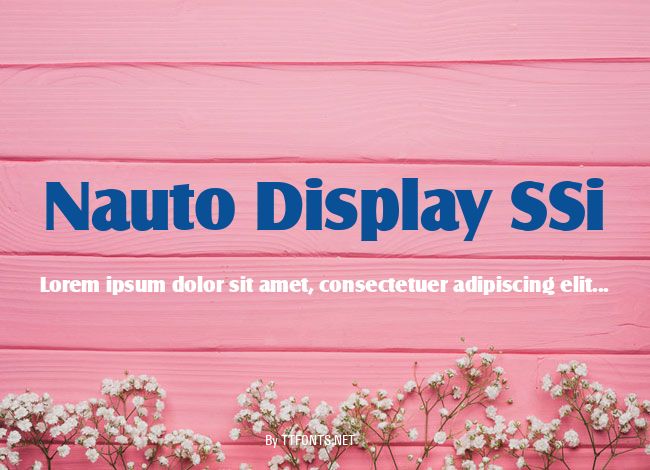 Nauto Display SSi example