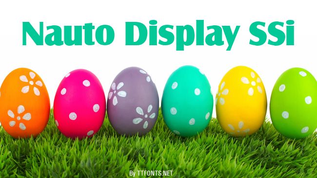 Nauto Display SSi example