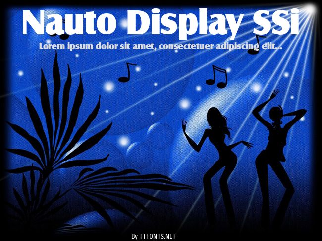 Nauto Display SSi example