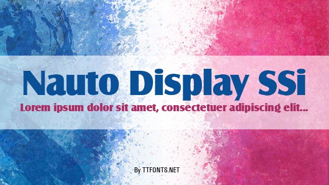Nauto Display SSi example