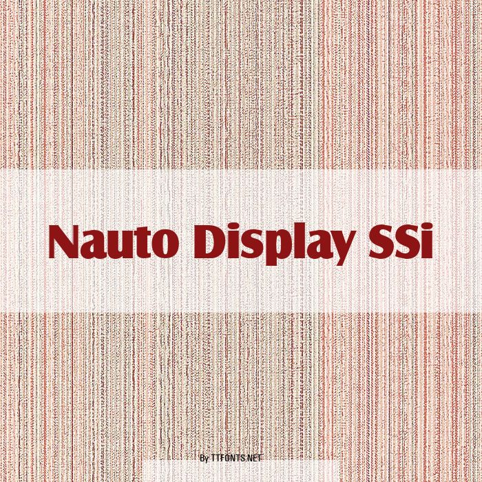 Nauto Display SSi example