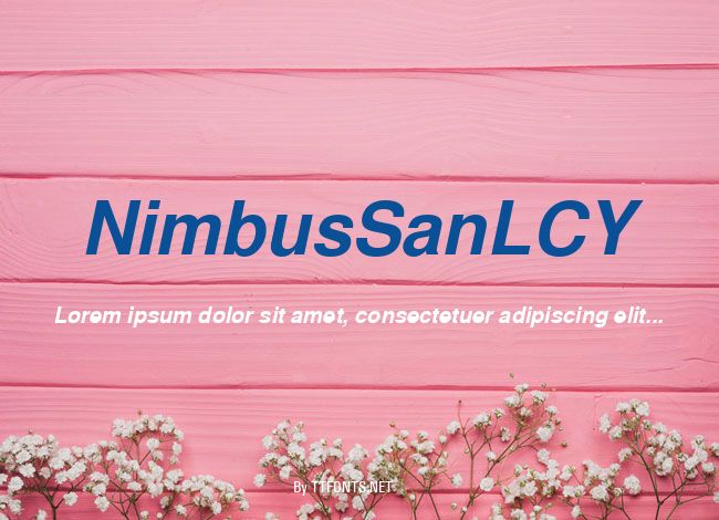 NimbusSanLCY example