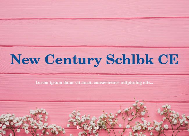 New Century Schlbk CE example
