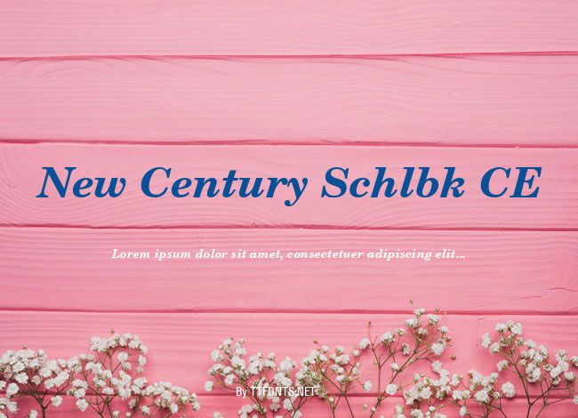 New Century Schlbk CE example