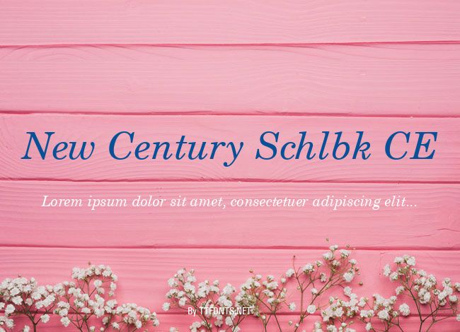 New Century Schlbk CE example