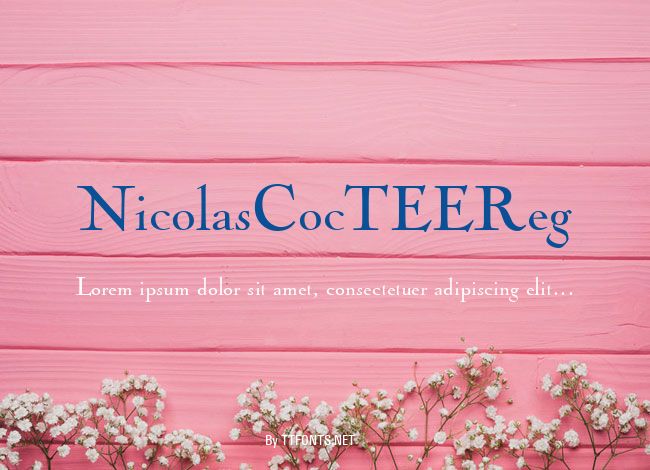 NicolasCocTEEReg example