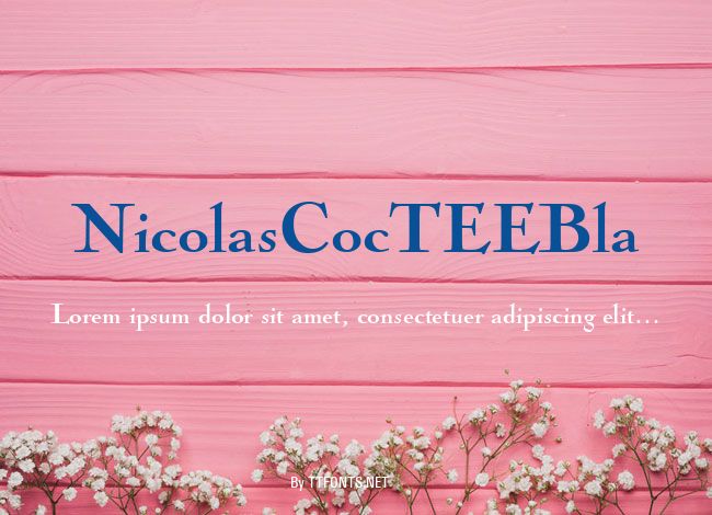 NicolasCocTEEBla example