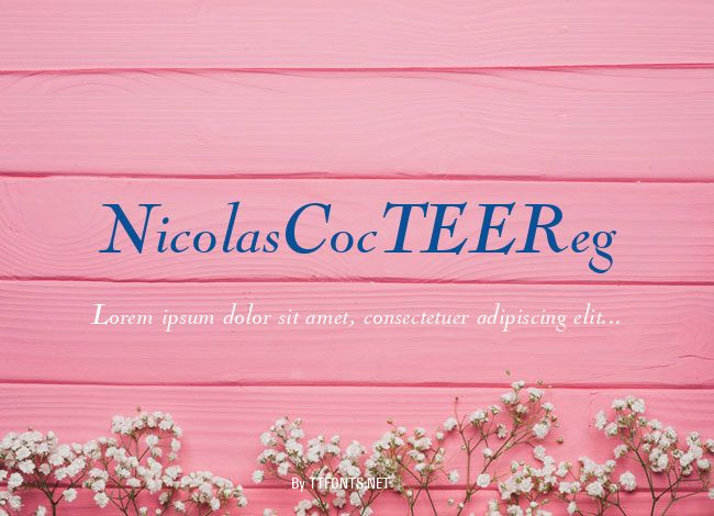 NicolasCocTEEReg example