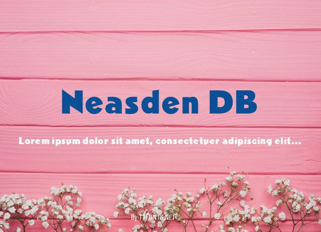 Neasden DB example