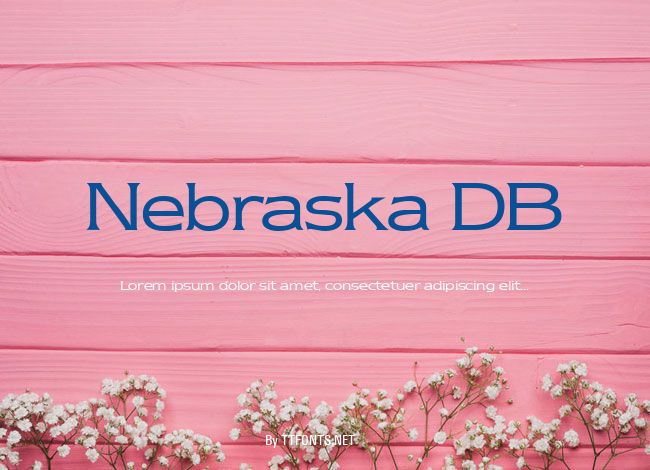 Nebraska DB example