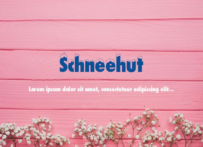Schneehut example