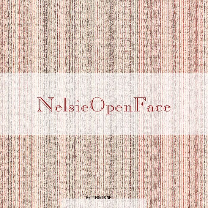 NelsieOpenFace example