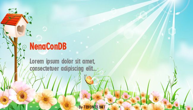NenaConDB example
