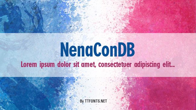 NenaConDB example