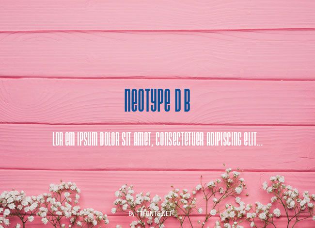 Neotype DB example