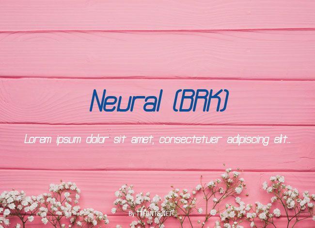 Neural (BRK) example