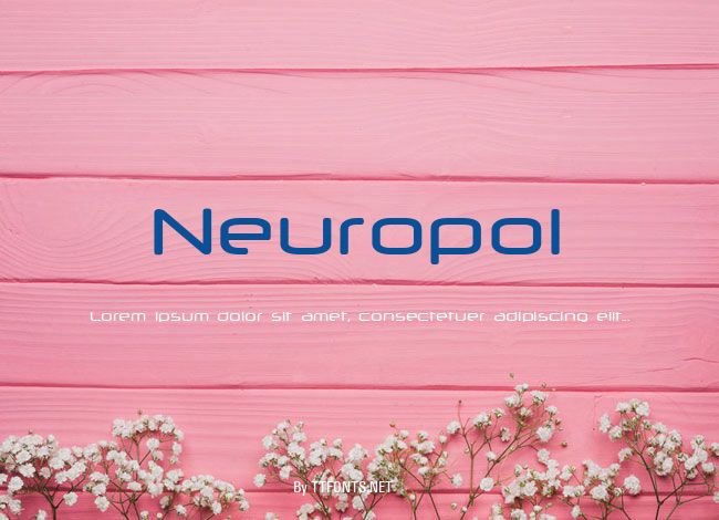 Neuropol example
