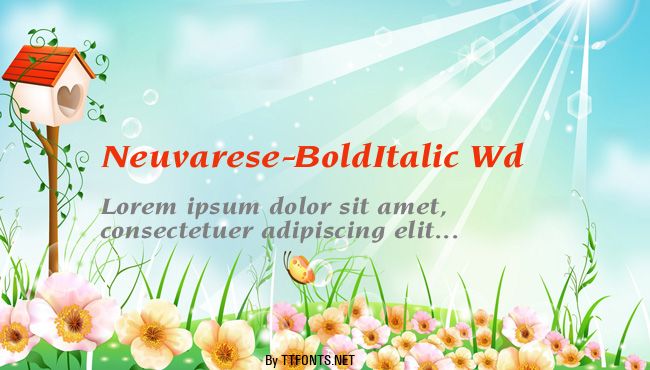 Neuvarese-BoldItalic Wd example