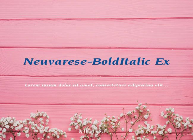 Neuvarese-BoldItalic Ex example